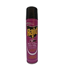 Raid Insecticides