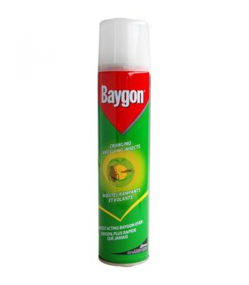 Baygon Insecticides 300ml